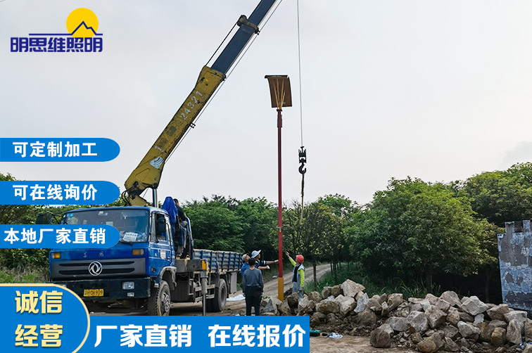 重慶農(nóng)家樂路燈桿工程案列