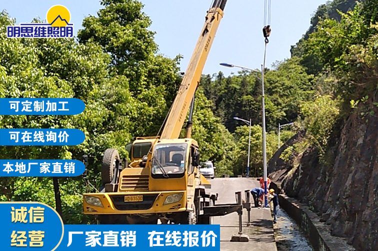 重慶道路路燈桿現(xiàn)場(chǎng)安裝案列