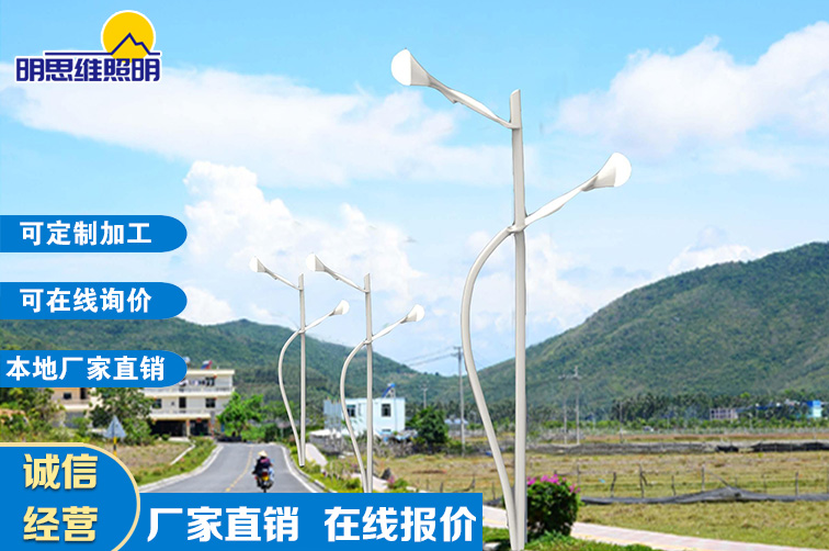 云南鄉(xiāng)村道路燈建設(shè)工程