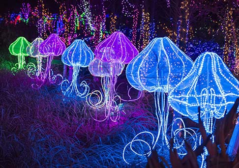 中山瀚沃：打造城市夜景，美化城市名片-明思維照明