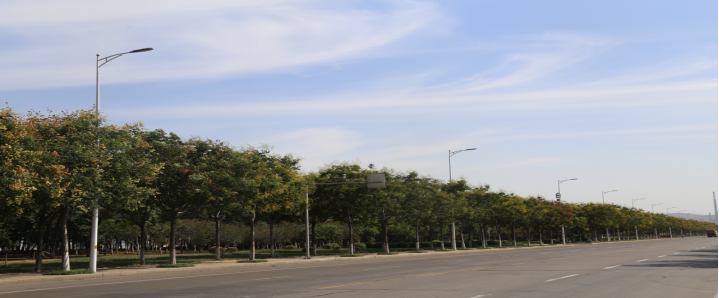 照明合同能源管理模式推廣，需注重LED路燈技術研發